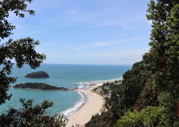 sand and sea peaking through the branches of pohutakawa trees. an island is in the sea