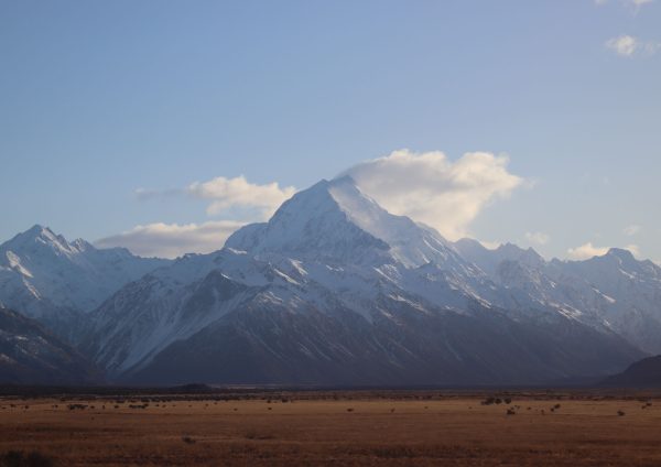 mountains with yellow field
