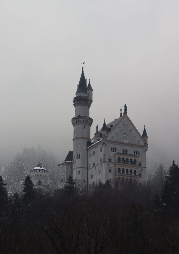 misty castle in the trees