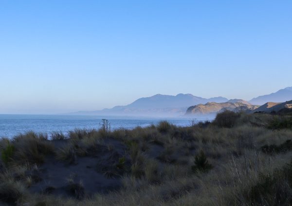 beach with mountains and snow and misty vibe