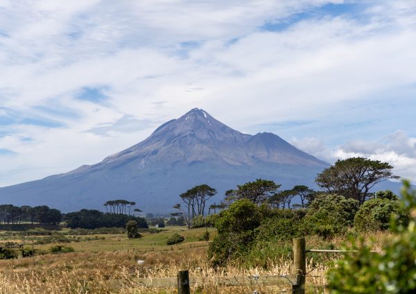 mt taranaki with golden grass, fence and tall trees. blue skies with some clouds