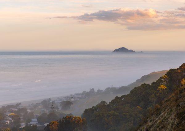 Last Light Ocean Beach